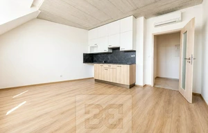 Apartment for rent, 1+KK - Studio, 38m<sup>2</sup>