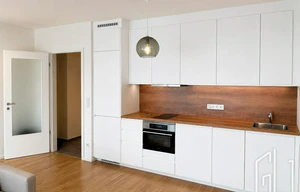 Apartment for rent, 1+KK - Studio, 48m<sup>2</sup>