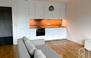 Apartment for rent, 1+KK - Studio, 48m<sup>2</sup>