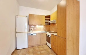 Apartment for rent, 2+kk - 1 bedroom, 55m<sup>2</sup>