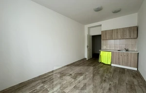 Apartment for rent, 1+KK - Studio, 30m<sup>2</sup>