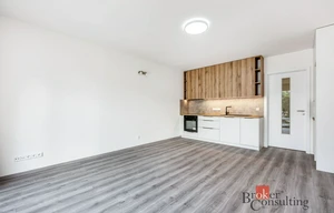 Apartment for rent, 1+KK - Studio, 35m<sup>2</sup>