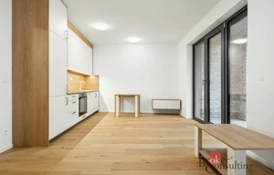 Apartment for rent, 1+KK - Studio, 44m<sup>2</sup>