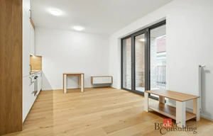 Apartment for rent, 1+KK - Studio, 44m<sup>2</sup>
