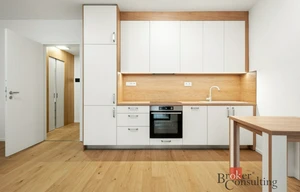 Apartment for rent, 1+KK - Studio, 44m<sup>2</sup>