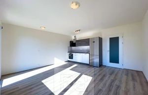 Apartment for rent, 1+KK - Studio, 46m<sup>2</sup>