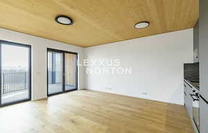 Apartment for rent, 1+KK - Studio, 41m<sup>2</sup>