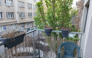 Apartment for rent, 2+kk - 1 bedroom, 46m<sup>2</sup>