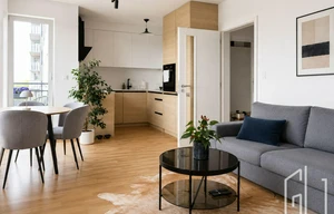 Apartment for rent, 1+KK - Studio, 47m<sup>2</sup>