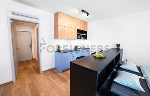 Apartment for rent, 1+KK - Studio, 43m<sup>2</sup>