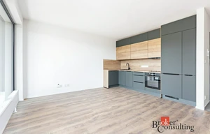 Apartment for rent, 1+KK - Studio, 35m<sup>2</sup>