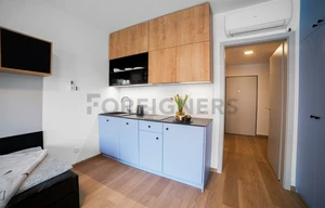 Apartment for rent, 1+KK - Studio, 29m<sup>2</sup>