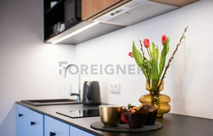 Apartment for rent, 1+KK - Studio, 29m<sup>2</sup>