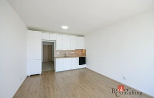 Apartment for rent, 1+KK - Studio, 31m<sup>2</sup>
