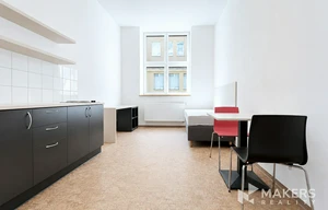 Apartment for rent, 1+KK - Studio, 22m<sup>2</sup>