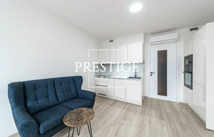 Apartment for rent, 1+KK - Studio, 36m<sup>2</sup>