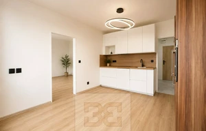 Apartment for rent, 2+kk - 1 bedroom, 50m<sup>2</sup>