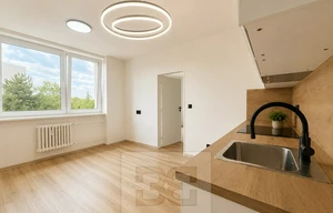 Apartment for rent, 2+kk - 1 bedroom, 50m<sup>2</sup>