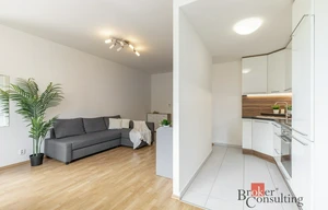 Apartment for sale, 1+KK - Studio, 48m<sup>2</sup>
