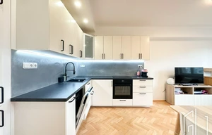 Apartment for rent, 3+kk - 2 bedrooms, 60m<sup>2</sup>