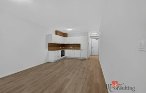 Apartment for rent, 2+kk - 1 bedroom, 55m<sup>2</sup>