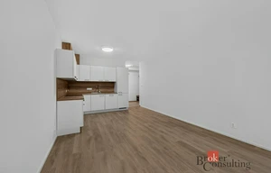 Apartment for rent, 2+kk - 1 bedroom, 55m<sup>2</sup>