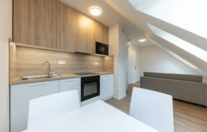 Apartment for rent, 1+KK - Studio, 30m<sup>2</sup>