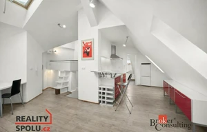 Apartment for rent, 1+KK - Studio, 58m<sup>2</sup>