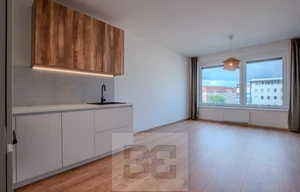 Apartment for rent, 1+KK - Studio, 36m<sup>2</sup>