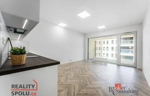 Apartment for rent, 1+KK - Studio, 48m<sup>2</sup>