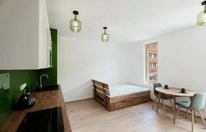 Apartment for rent, 1+KK - Studio, 31m<sup>2</sup>