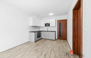 Apartment for rent, 2+kk - 1 bedroom, 56m<sup>2</sup>