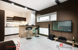 Apartment for rent, 2+kk - 1 bedroom, 55m<sup>2</sup>