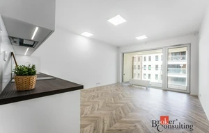 Apartment for rent, 1+KK - Studio, 48m<sup>2</sup>