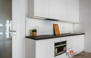 Apartment for rent, 1+KK - Studio, 48m<sup>2</sup>