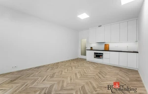 Apartment for rent, 1+KK - Studio, 48m<sup>2</sup>