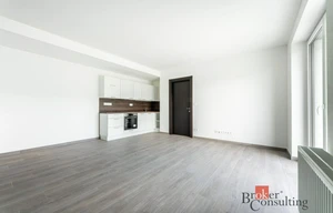 Apartment for rent, 2+kk - 1 bedroom, 54m<sup>2</sup>