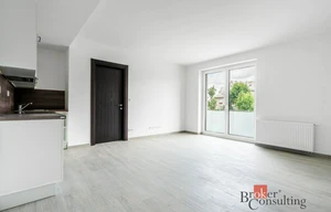 Apartment for rent, 2+kk - 1 bedroom, 54m<sup>2</sup>