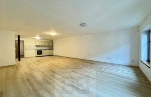 Apartment for rent, 1+KK - Studio, 65m<sup>2</sup>