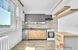 Apartment for rent, 1+1 - Studio, 40m<sup>2</sup>