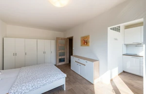 Apartment for rent, 1+KK - Studio, 30m<sup>2</sup>