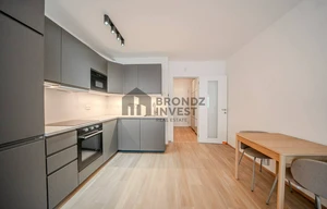 Apartment for rent, 1+KK - Studio, 34m<sup>2</sup>