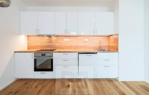 Apartment for rent, 2+kk - 1 bedroom, 55m<sup>2</sup>