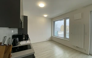 Apartment for rent, 1+KK - Studio, 33m<sup>2</sup>