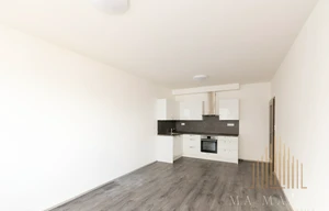 Apartment for rent, 2+kk - 1 bedroom, 54m<sup>2</sup>
