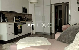 Apartment for rent, 1+KK - Studio, 33m<sup>2</sup>