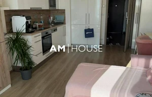 Apartment for rent, 1+KK - Studio, 33m<sup>2</sup>