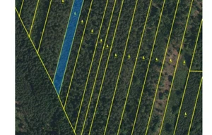 Forest for sale, 32388m<sup>2</sup>