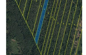 Forest for sale, 32388m<sup>2</sup>