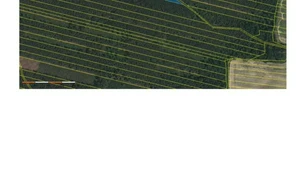 Forest for sale, 32388m<sup>2</sup>